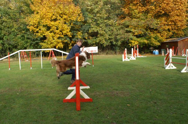 agility 2011-10-30